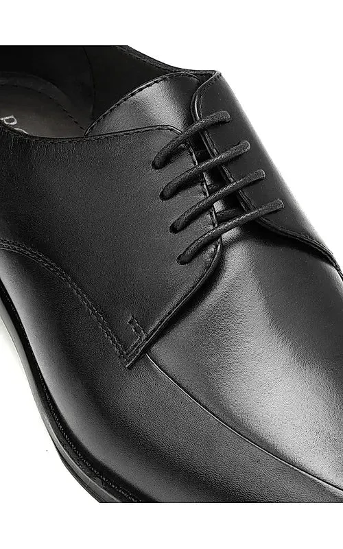 Black Signato Leather Lace Ups