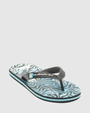 Boys 8-16 Molokai Art Beach Thongs