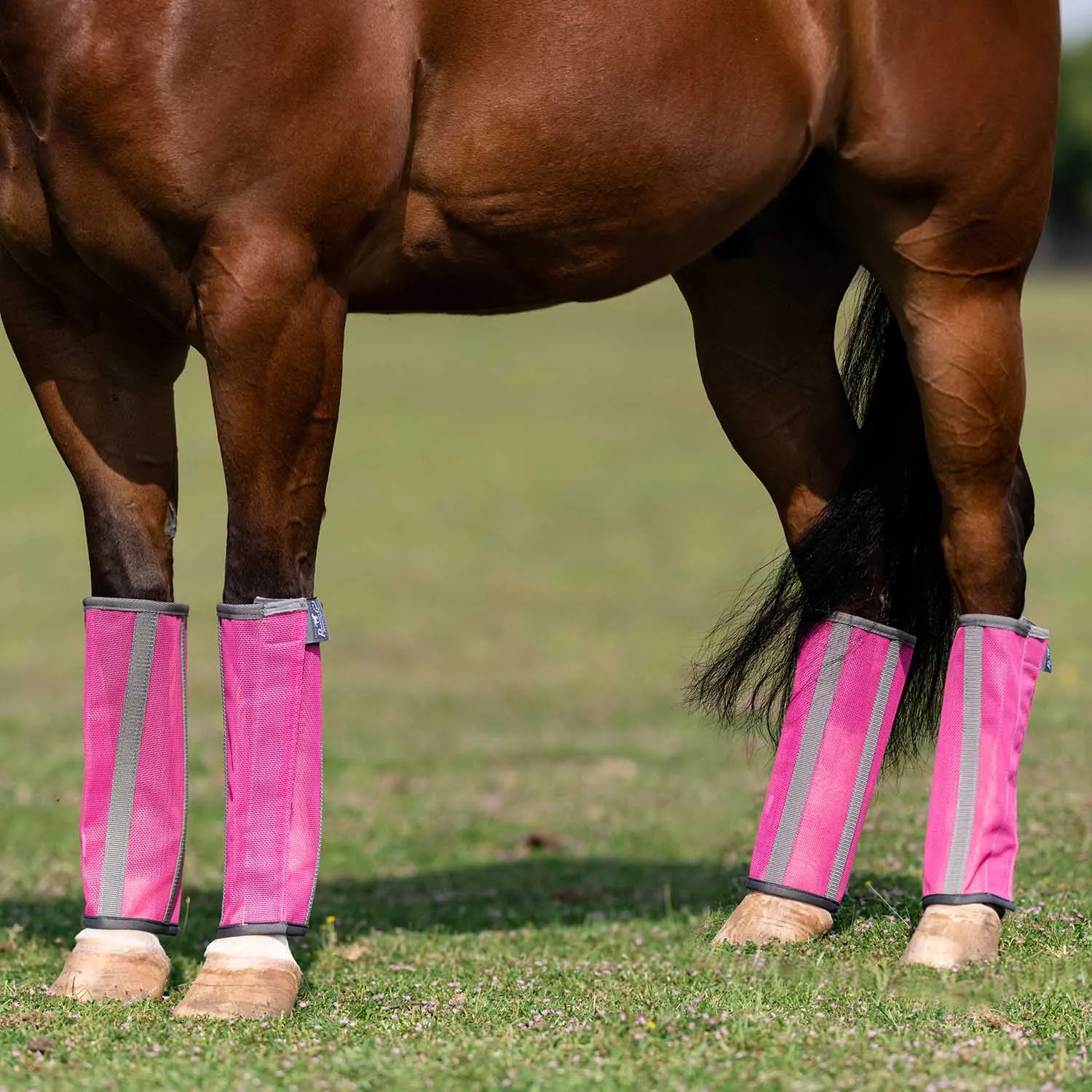 Professional's Choice Deluxe Breathable Mesh Horse Fly Boots, 4 pack