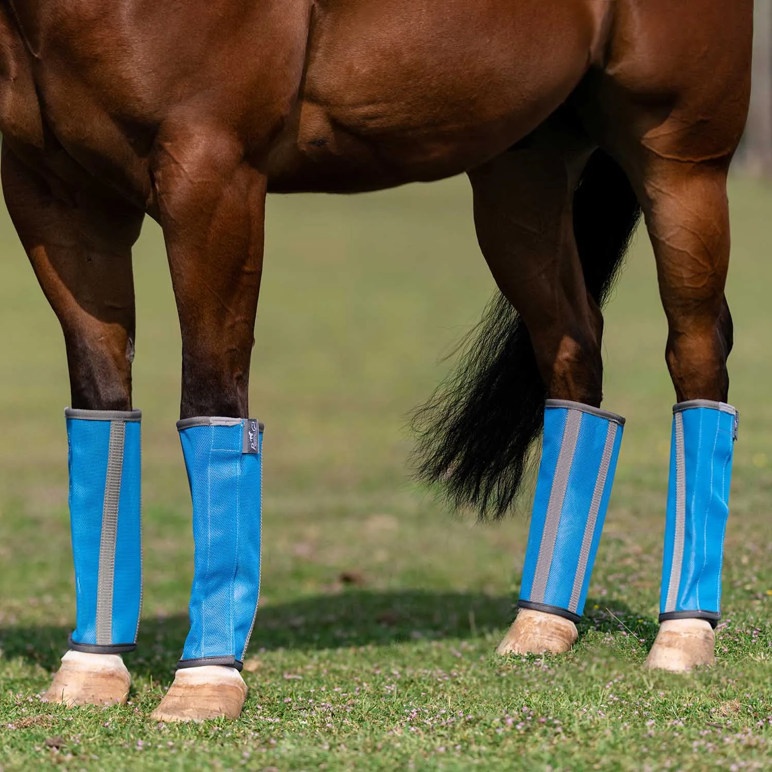 Professional's Choice Deluxe Breathable Mesh Horse Fly Boots, 4 pack