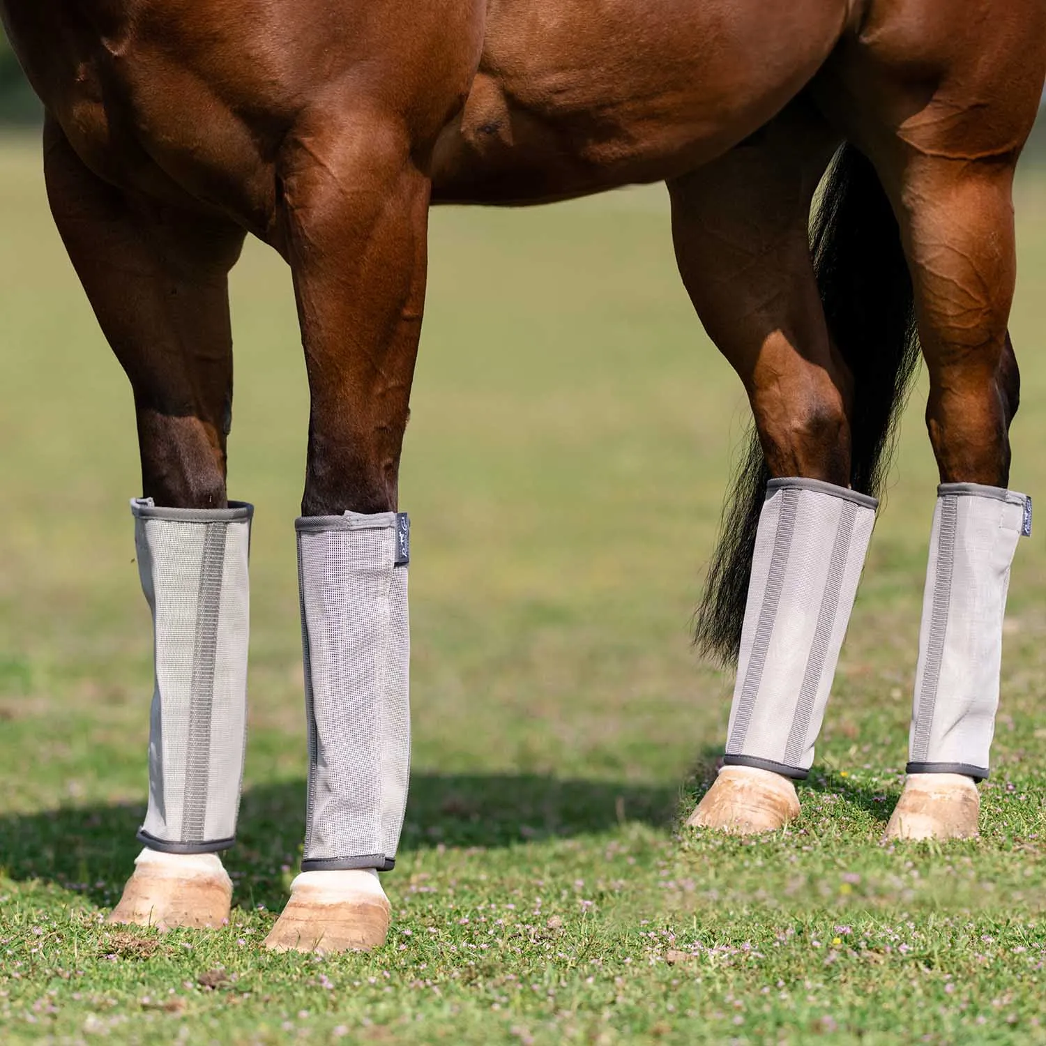 Professional's Choice Deluxe Breathable Mesh Horse Fly Boots, 4 pack